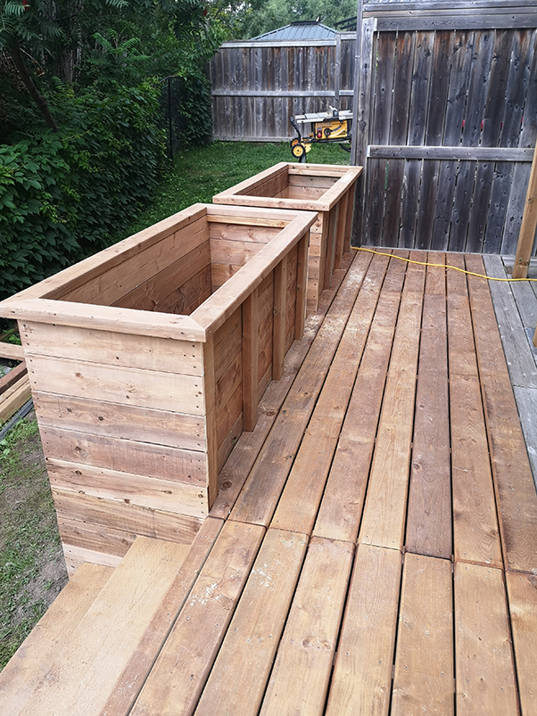 DECK_7_WEB